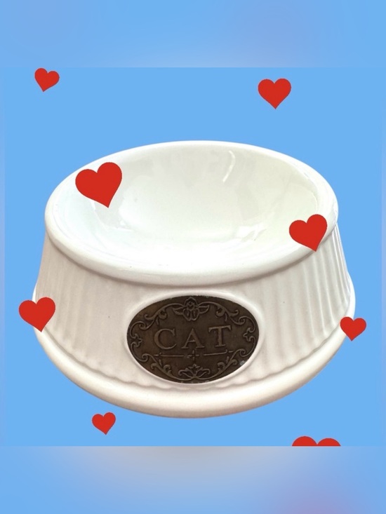 THL Other - Ceramic cat food or water dish